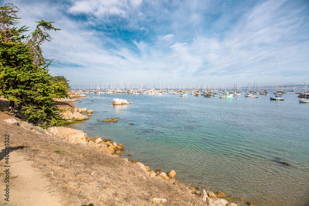 Fototapeta premium The Pacific Ocean coast in the city of Monterey in California. United States of America. Beautiful beach on a sunny day. Ocean landscape.