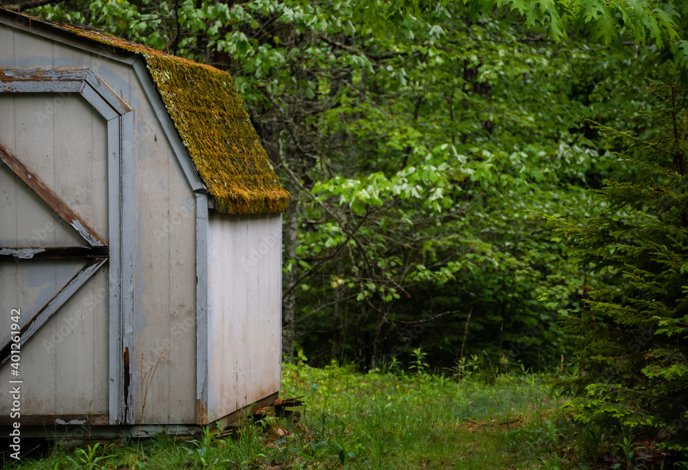 Rustic Shed out Back