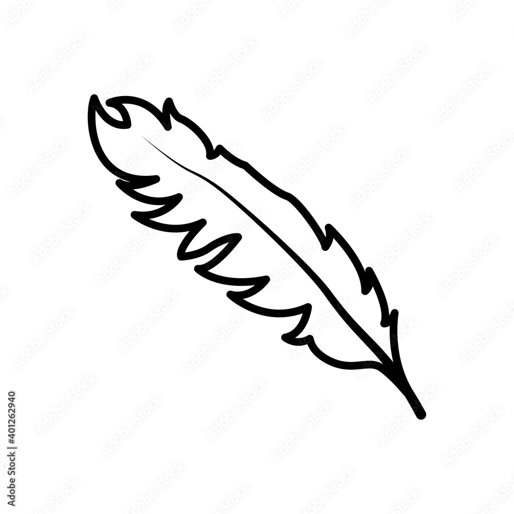 feather icon vector illustration design feather icon vector illustration design