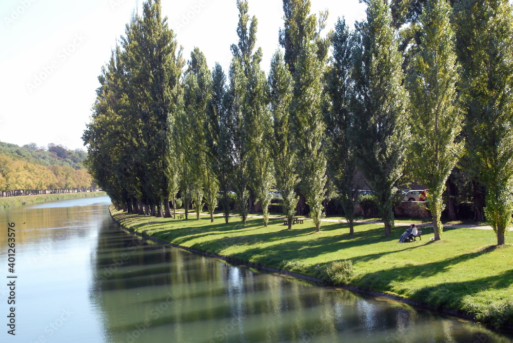 Ville de Melun, rangée d'arbres et ombres au bord de l'eau, département de Seine-et-Marne, France