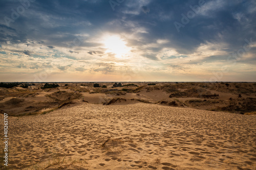 Fototapeta Naklejka Na Ścianę i Meble -  Beautiful desert landscape with dunes. Walk on a sunny day on the sands.