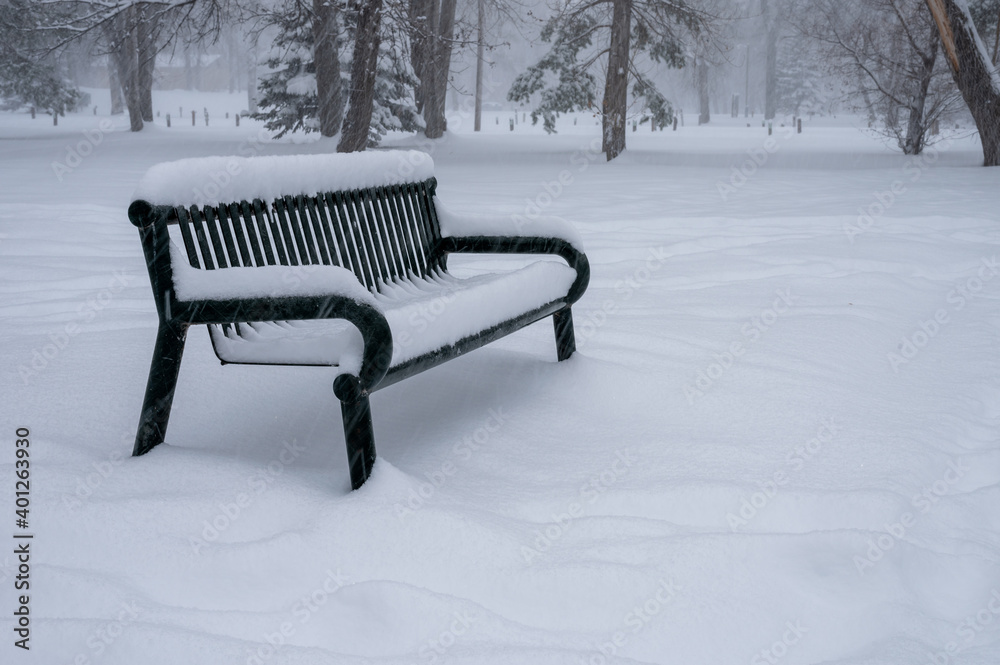 Heavy snow is falling in a park with a with mixed trees and a metal bench.  The weather looks cold and blustery.
