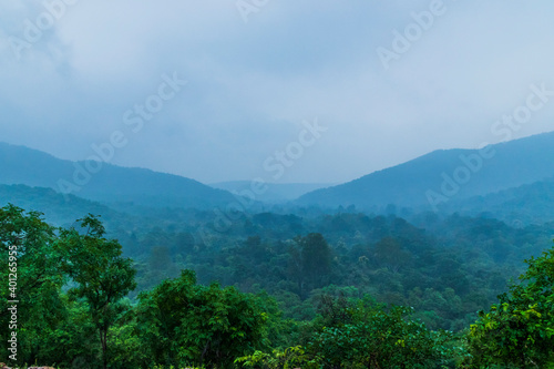 Various views of the Polo Forest, Gujarat