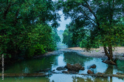 Various views of the Polo Forest  Gujarat