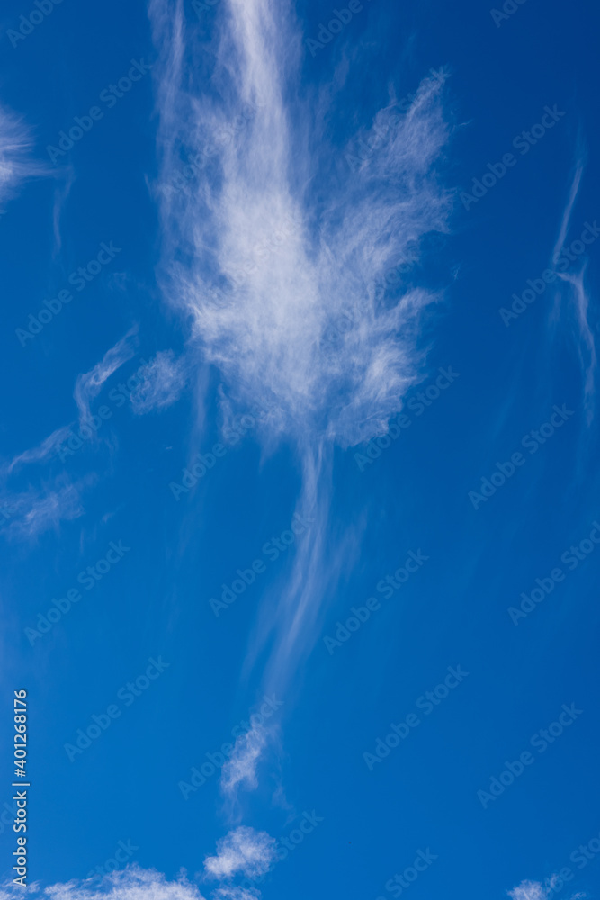clouds leaves