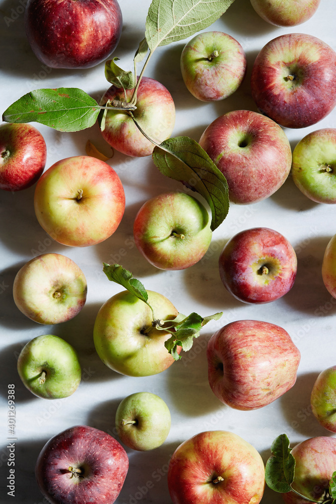 Freshly harvested apples Freshly harvested apples