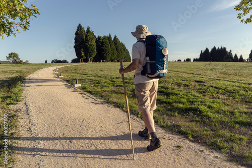 Back view of unrecognizable male traveler with rucksack and wooden stick walking on rough path between trees in summer photo