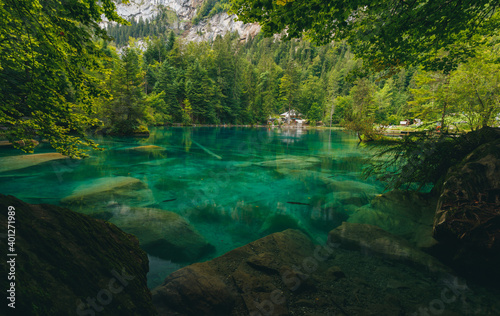blue Water in the Blausee Switzerland with green trees in the background and fishes in the water  mystic epic  rare  unique  blue  green
