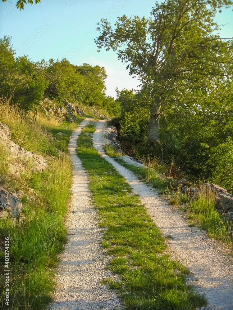 Country narrow gravel road with growing grass in the middle on a sunny day Country narrow gravel road with growing grass in the middle on a sunny day