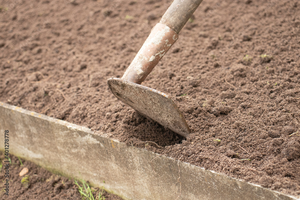 Spring preparation of the land for planting. Leveling the ground with a hoe Stock Photo Adobe