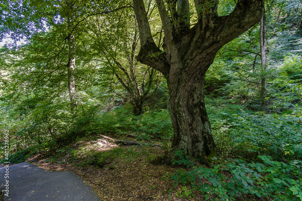 Naklejka premium Way of the Narts in Nalchik, Kabardino-Balkaria, Russia.