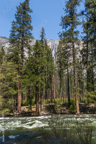 Merced River flowing through Yosemite Valley, Yosemite National Park, California, USA