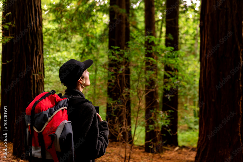 Side view of content female tourist with backpack standing in woods and enjoying amazing scenery of big trees in Monte Cabezon Natural Monument of Sequoias Side view of content female tourist with backpack standing in woods and enjoying amazing scenery of big trees in Monte Cabezon Natural Monument of Sequoias