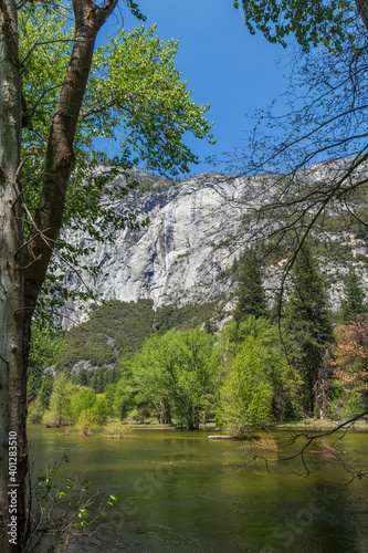Fototapeta Naklejka Na Ścianę i Meble -  Yosemite Valley, Yosemite National Park, California, USA