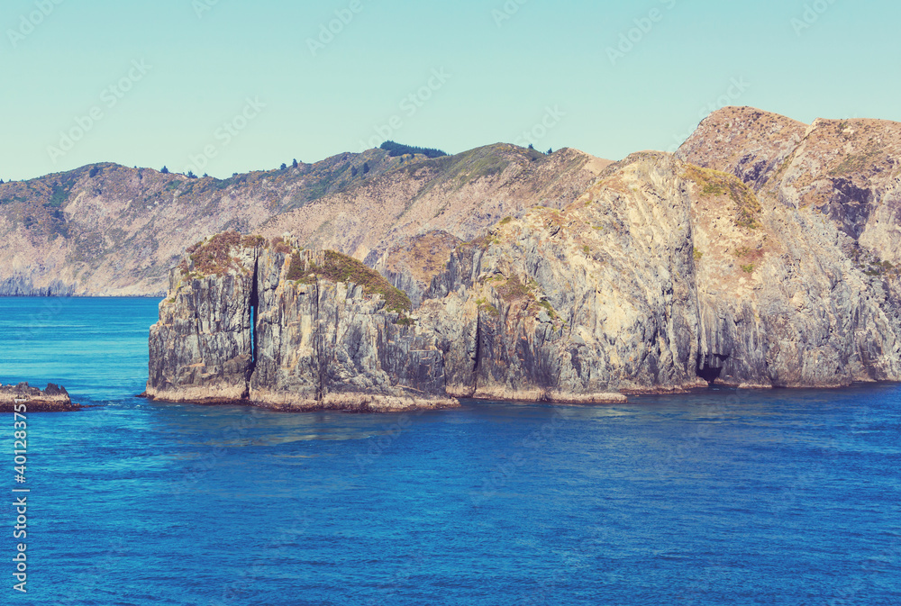 Fototapeta premium New Zealand coast