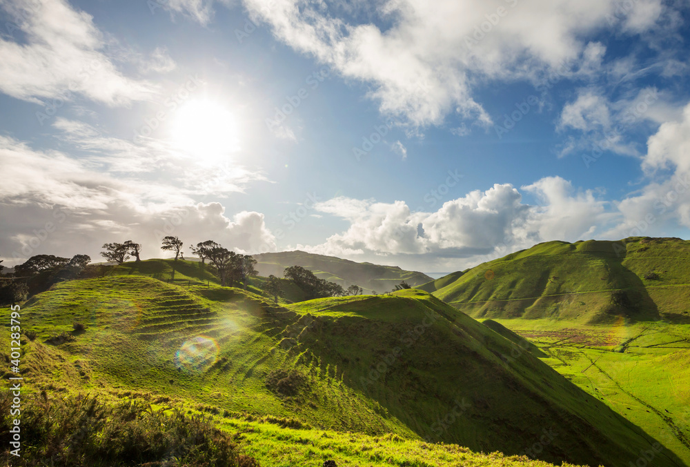 New Zealand hills