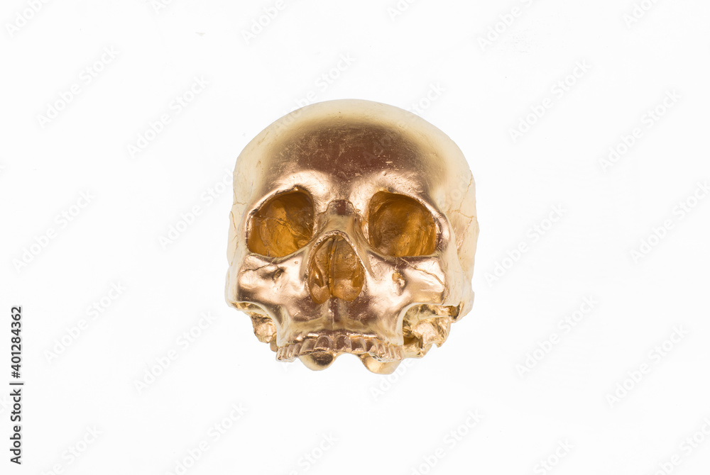 golden skull isolated on white background golden skull isolated on white background