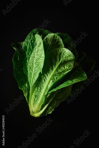 A head of fresh romaine salad on black background