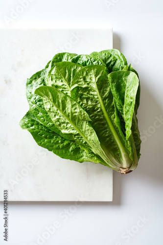 A head of fresh romaine salad on white background