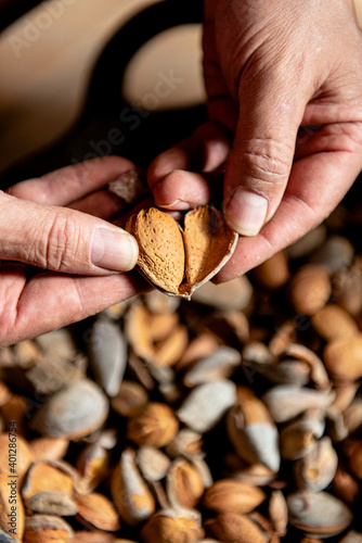 From above crop anonymous person holding in hands opened nutshell with kernel in it against heap of almonds