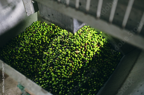 From above rusty containers filled with fresh raw olives and placed in industrial facility of factory photo