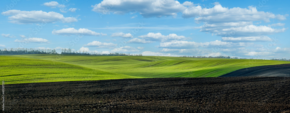 panoramic view of plowed field and a field of winter wheat in the hilly terrain with cloudly sky of Ukraine