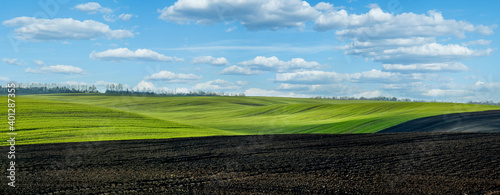 panoramic view of plowed field and a field of winter wheat in the hilly terra...
