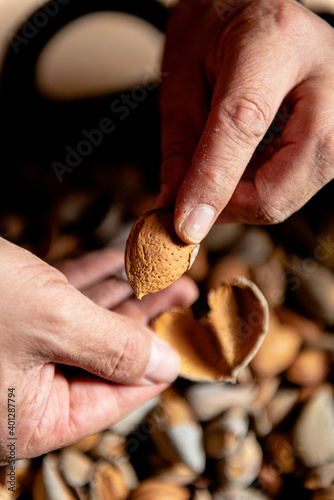 From above crop anonymous person holding in hands opened nutshell with kernel in it against heap of almonds photo