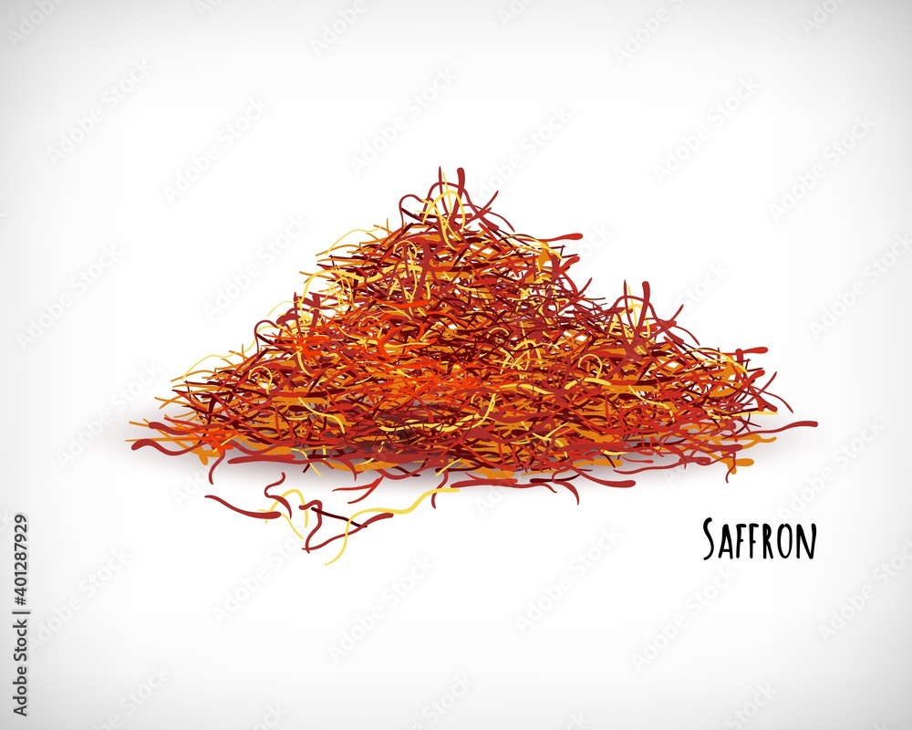 Fototapeta premium Hand drawn dried saffron. Flavoring for dishes. Spicy condiment. Culinary theme. Lettering Saffron on vignette background. Vector illustration.