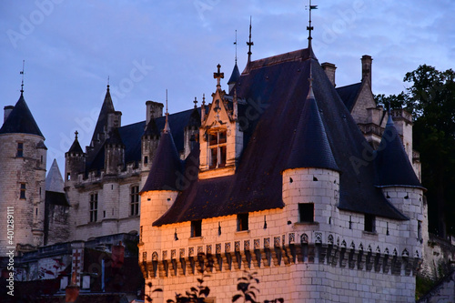 Loches; France - july 15 2020 : Porte des Cordeliers photo