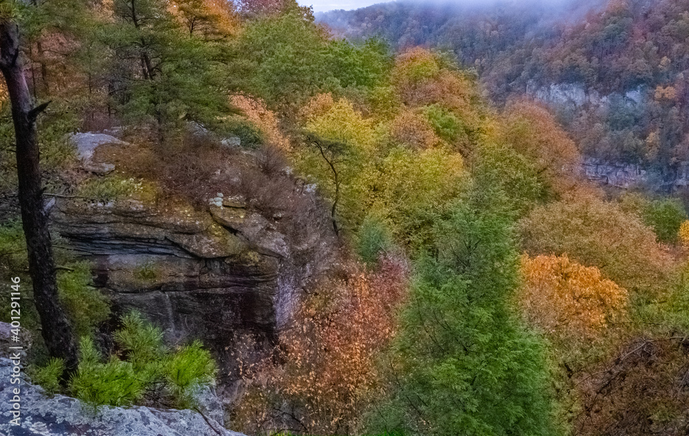 Fall color Skyline Drive Virginia Fall color Skyline Drive Virginia