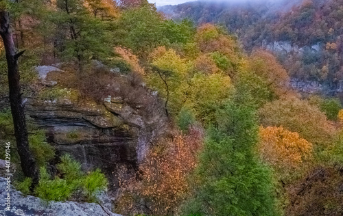 Fall color Skyline Drive Virginia