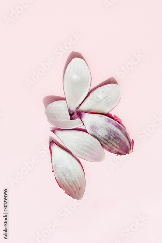 Top view of tender flower petals with rounded edges and pleasant aroma on light background