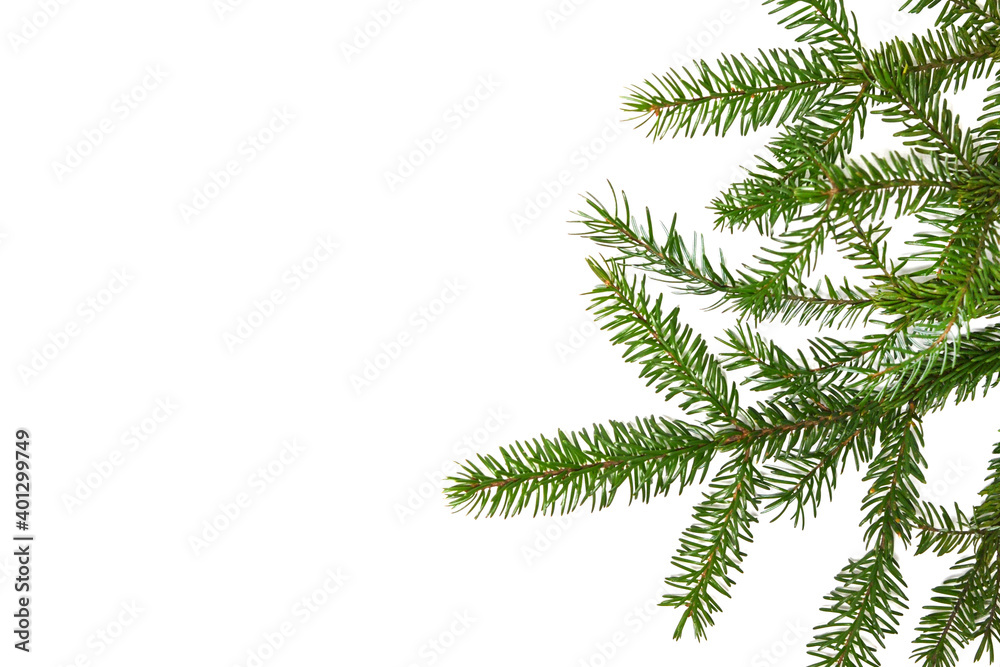 Christmas Evergreen Border with a branch of fir Christmas Evergreen Border with a branch of fir