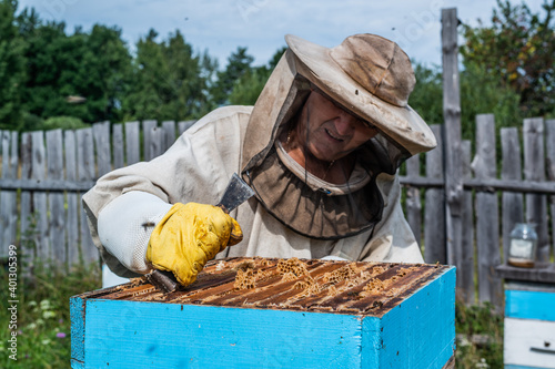 Honey harvest in apiary. Bees on honeycomb. Beekeeper removes excess honeywax to pull out frame with honey. photo