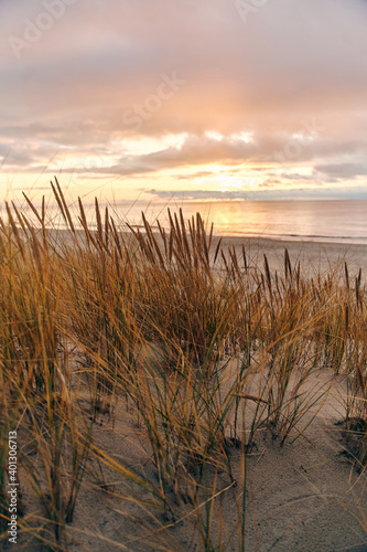 Fototapeta Naklejka Na Ścianę i Meble -  Tall dunes with dune grass and a wide beach below. The shore of the baltic sea. Sunset on the beach in Yantarniy