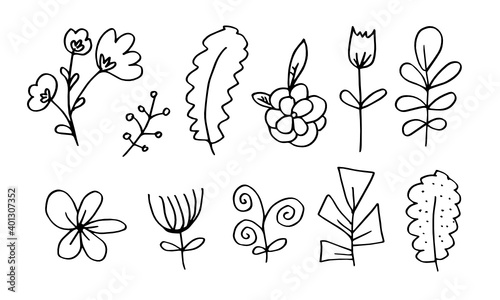 a collection of hand-drawn flower images such as bellflower, chrysanthemums, sunflowers, cotton flowers, and tropical leaves