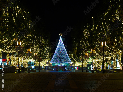 Photography Tokyo,Japan-December 23, 2020: Illuminated Christmas tree in Tokyo