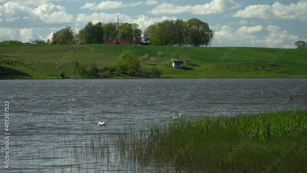 Farmland landscape at the lake on a summer season in a calm weather time of the sunny day with a blue cloudy sky. Farmland landscape at the lake on a summer season in a calm weather time of the sunny day with a blue cloudy sky.