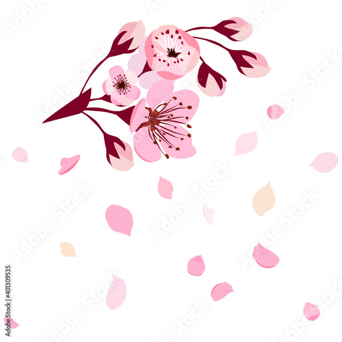 A branch of sakura with falling petals. Vector illustration