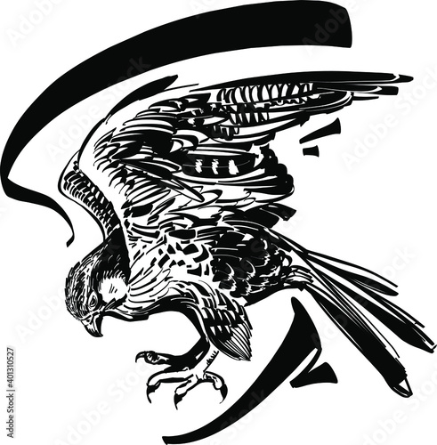 The vector sketch of the hawk is flying