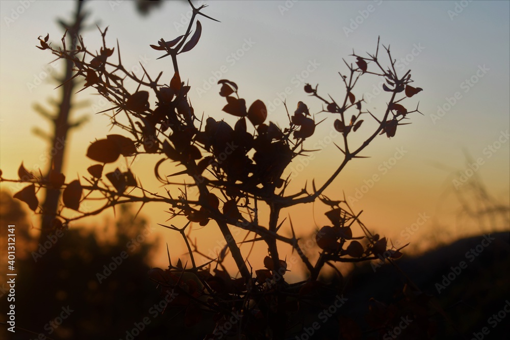 Fototapeta premium Autumn's beauty