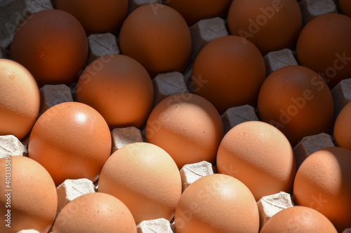 Brown chicken eggs in carton