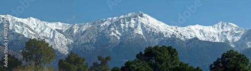 
panorama of the Snow Mountain with an alpine tree in Kashmir in India