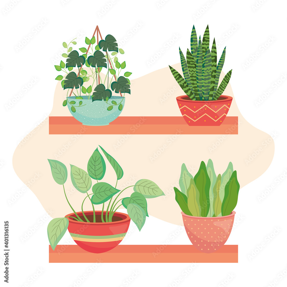 shelves with house plants, colorful design shelves with house plants, colorful design