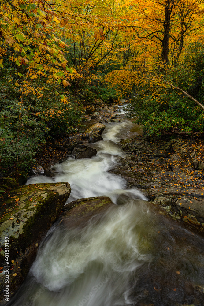 Narrow Creek Rushing Downhill Over Boulders