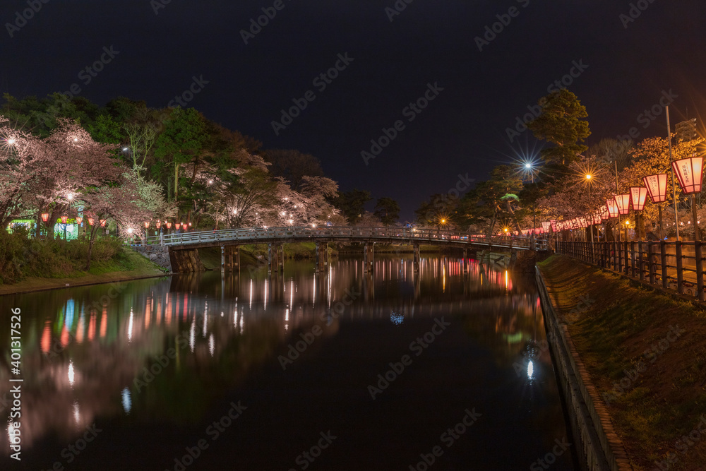 上越市 高田公園の夜桜 上越市 高田公園の夜桜