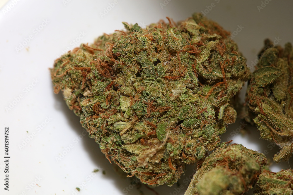 Medical marihuana super lemon haze close up cannabis modern high quality prints Cannabis-Legalisierung in Deutschland 2023: Wann ist Kiffen legal? Medical marihuana super lemon haze close up cannabis modern high quality prints Cannabis-Legalisierung in Deutschland 2023: Wann ist Kiffen legal?