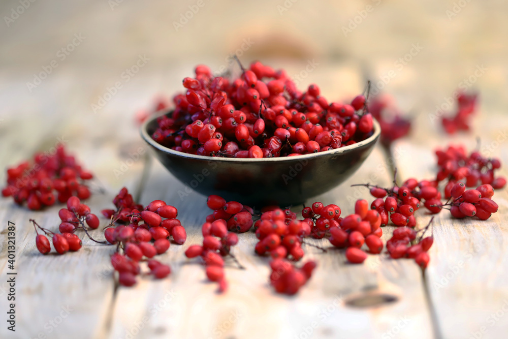 Fresh barberry in a bowl. Red berries of barberry. Fresh barberry in a bowl. Red berries of barberry.