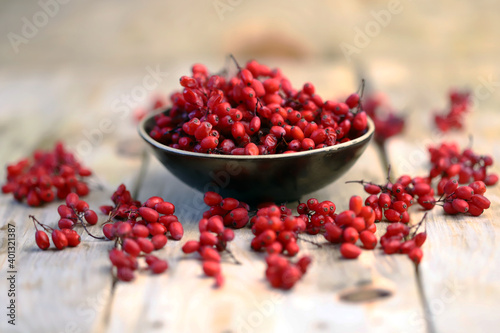 Fresh barberry in a bowl. Red berries of barberry. photo